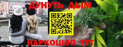 мдпв Новодвинск
