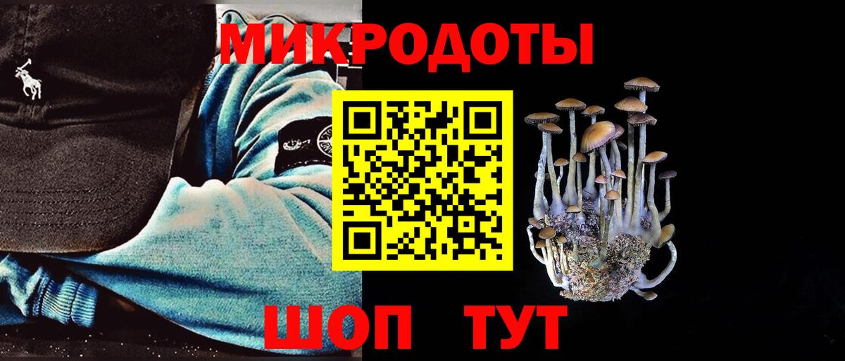 Галлюциногенные грибы мицелий Петропавловск-Камчатский